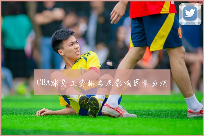 CBA球员工资排名及影响因素分析