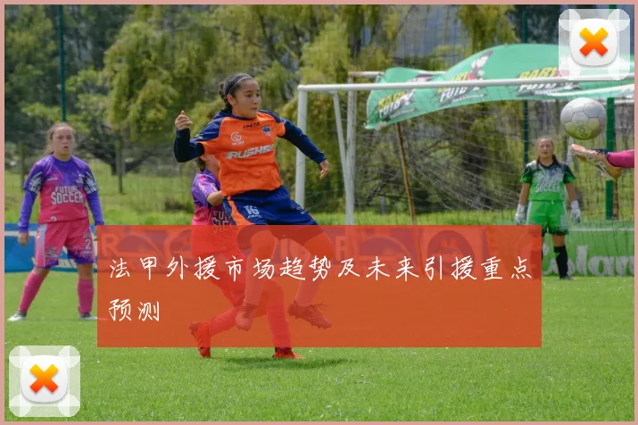 法甲外援市场趋势及未来引援重点预测