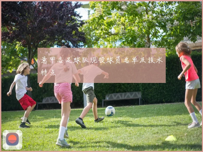 意甲各足球队现役球员名单及技术特点