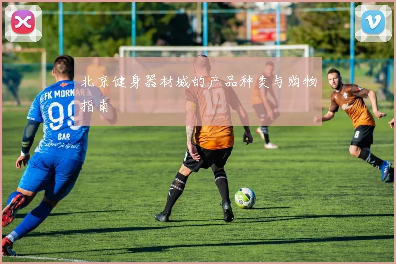 北京健身器材城的产品种类与购物指南