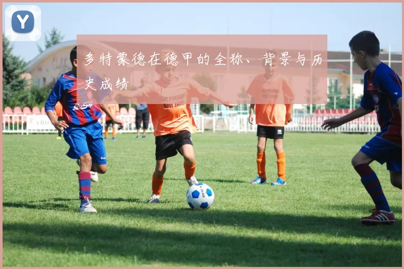 多特蒙德在德甲的全称、背景与历史成绩