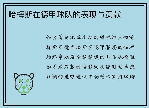 哈梅斯在德甲球队的表现与贡献